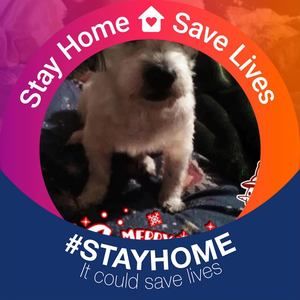 Meet your Posher, Pam